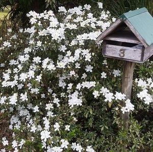 Meet your Posher, Ann